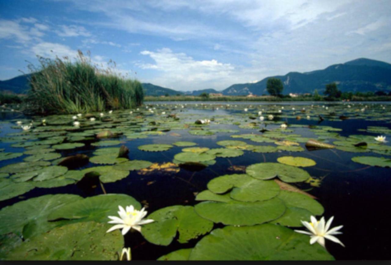 Nature & Relax * Iseo